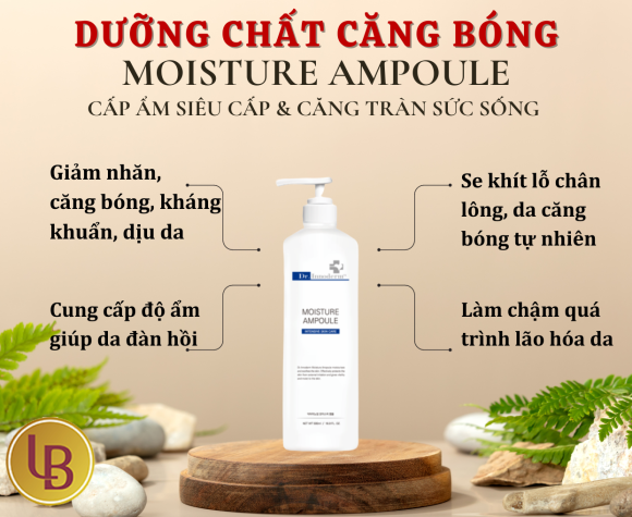 DƯỠNG CHẤT CĂNG BÓNG MOISTURE AMPOULE 500 ML  